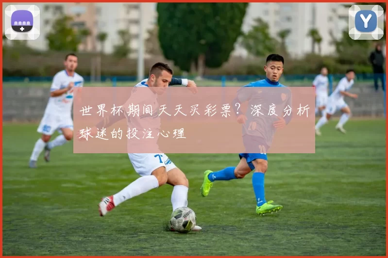 世界杯期间天天买彩票？深度分析球迷的投注心理