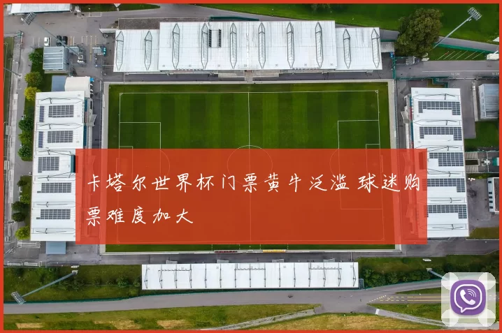 卡塔尔世界杯门票黄牛泛滥 球迷购票难度加大