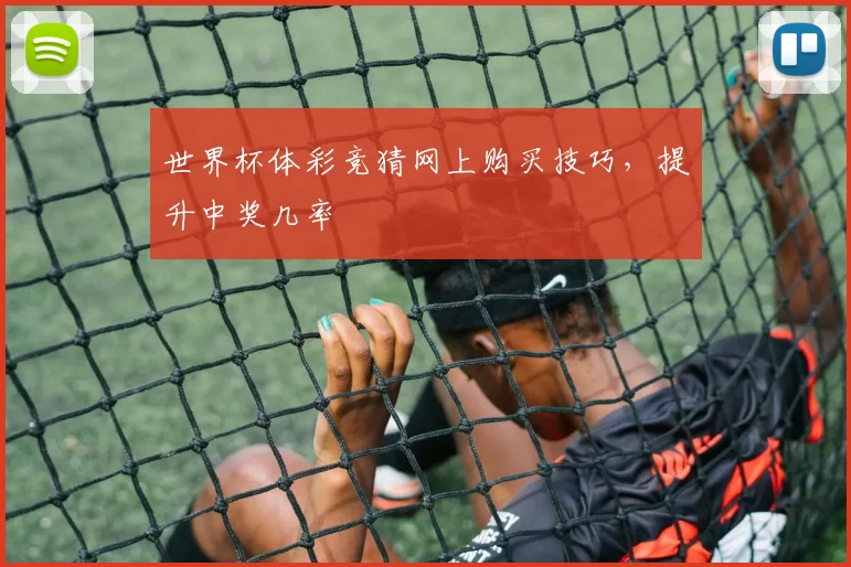 世界杯体彩竞猜网上购买技巧,提升中奖几率