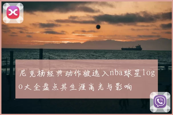 尼克杨经典动作被选入nba球星logo大全盘点其生涯高光与影响