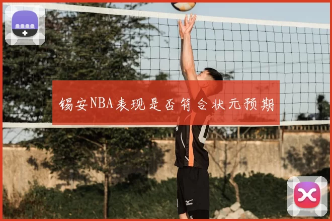 锡安NBA表现是否符合状元预期