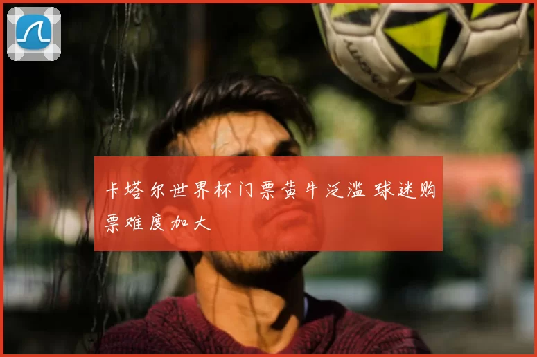 卡塔尔世界杯门票黄牛泛滥 球迷购票难度加大