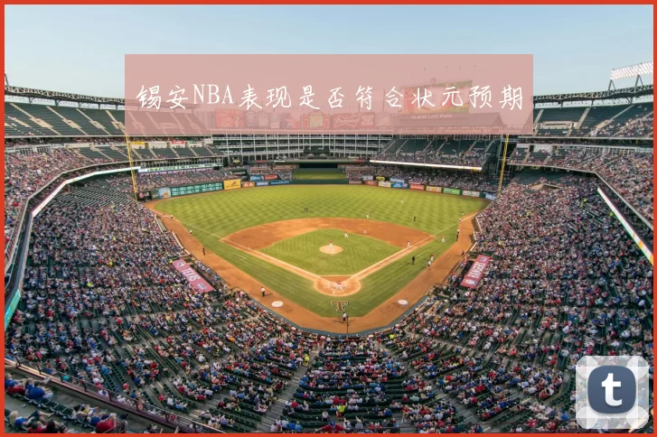 锡安NBA表现是否符合状元预期